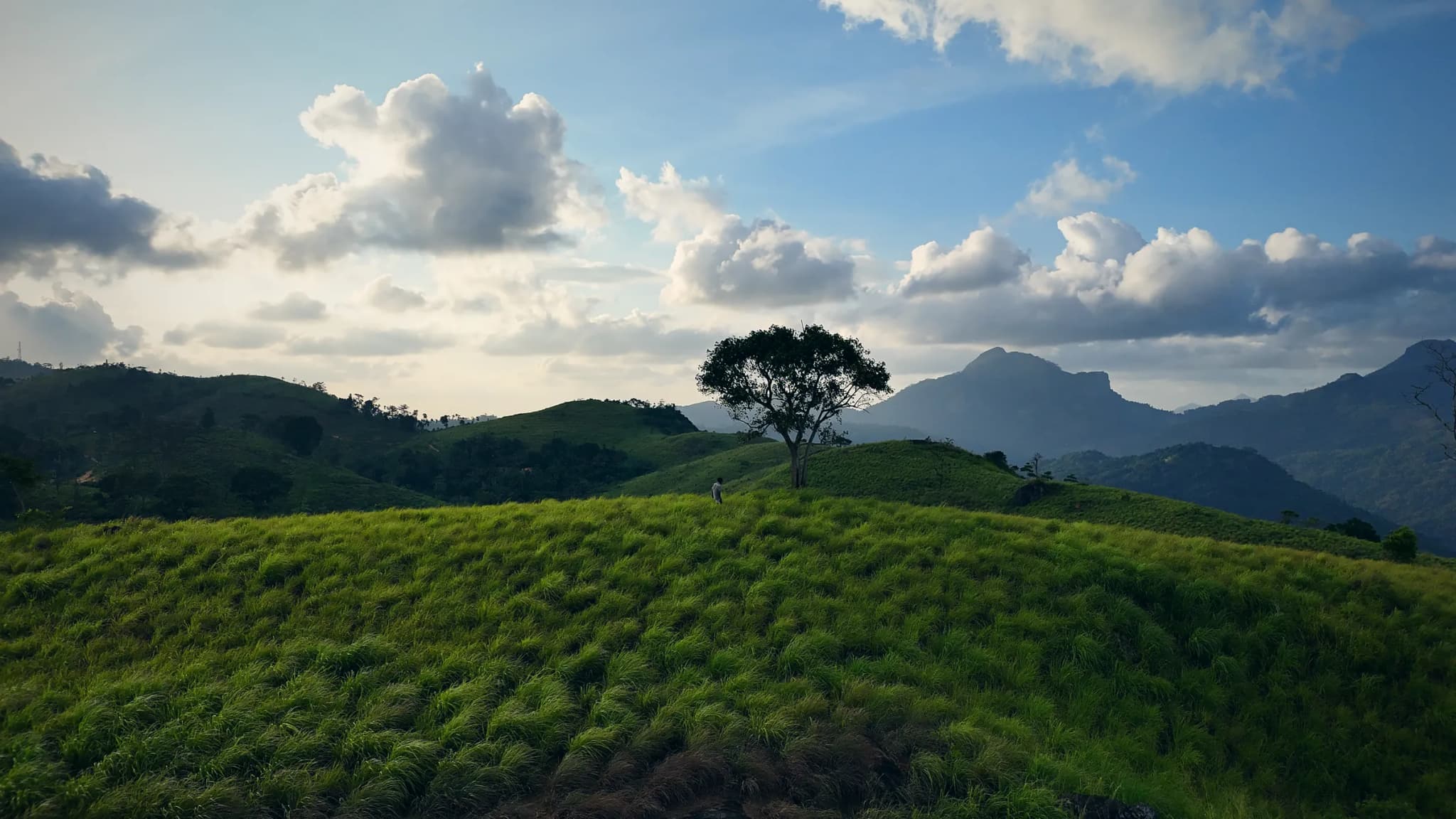 Drone photo of Theppukulama Mountain, Balakaduwa, Sri Lanka